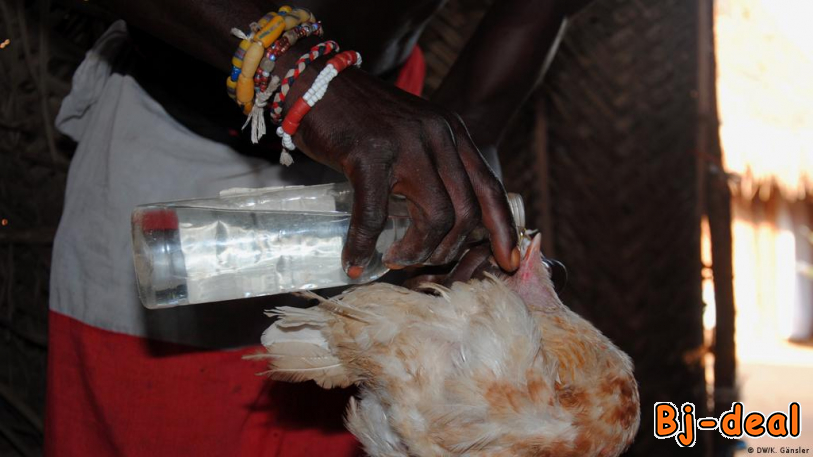 Main image of Travail De Protection