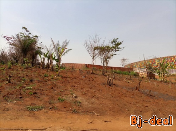 Main image of Olembe terrain titré bien placé idéal pour