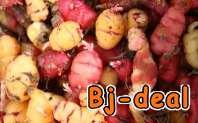 Main image of Produit de tubercules