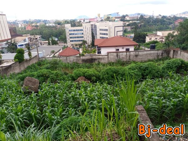 Main image of 1000m2 de terrain titré à vendre en plein