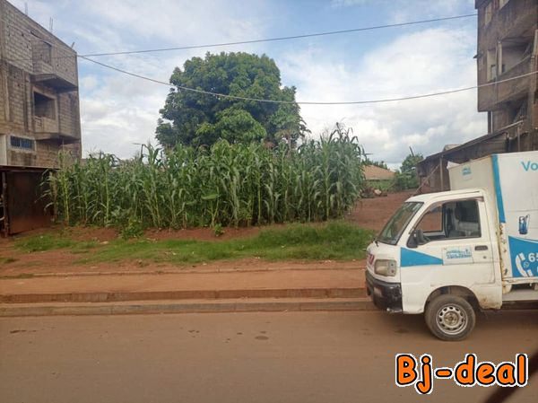 Main image of 800m2 de terrain commercial titré à vendre à Fo