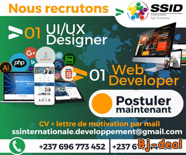 Image principale de recrutement  UI UX DESIGNER et  WEB DEVELOPP