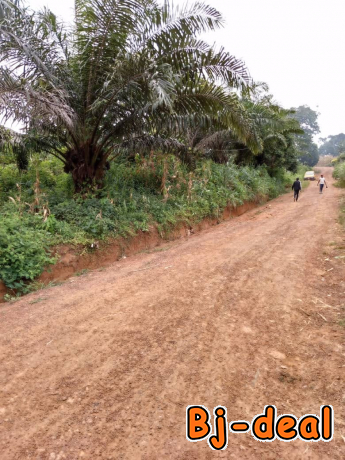 Main image of Opportunité à saisir  350m2 de terrain titré à