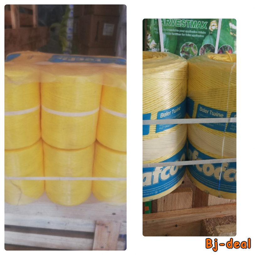 Main image of Sacs et ficelles