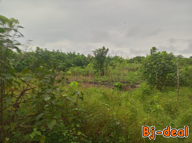 Main image of Terrain a vendre