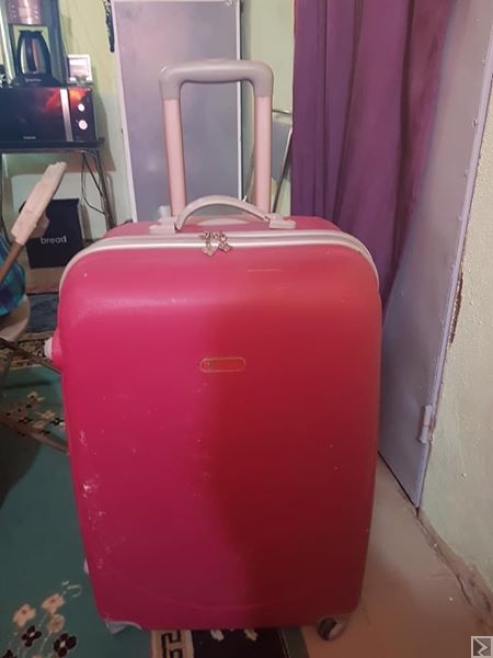 Main image of Grande valise