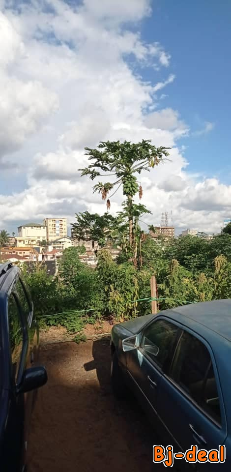 Main image of Omnisports quartier résidentiel 600m2 de terrain