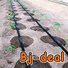 Main image of Système d'arrosage au goûte à goûte