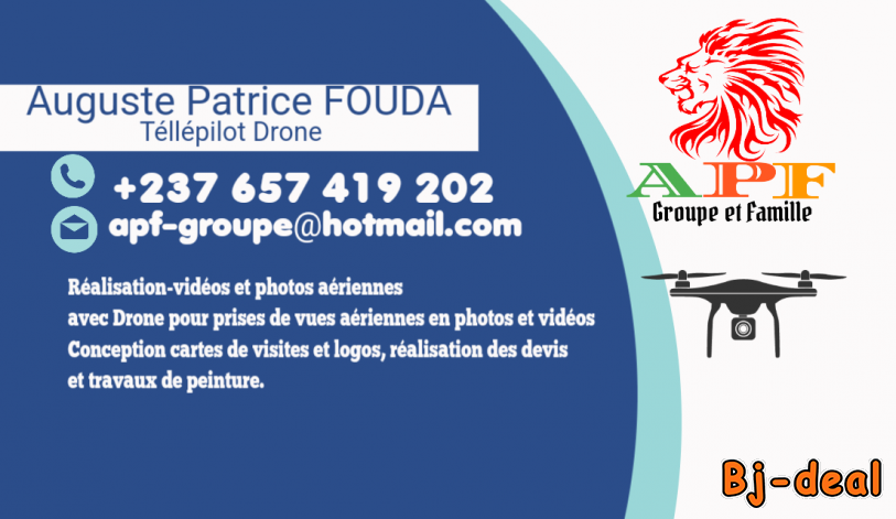 Main image of Télépilot de Drone peintre