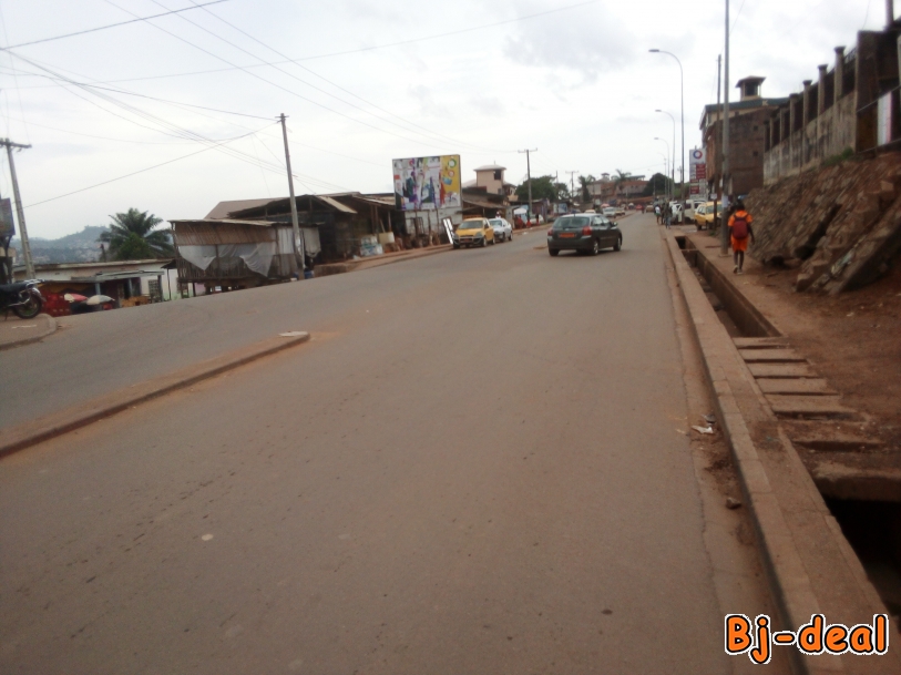 Main image of BONS TERRAINS TITRÉS ET LOTI À YAOUNDÉ