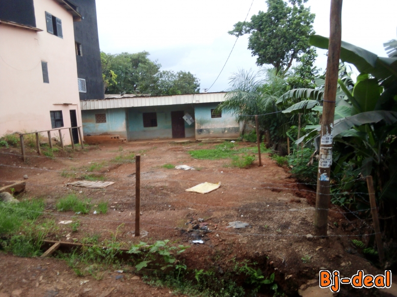 Main image of TERRAIN TITRÉ POUR MEUBLÉS