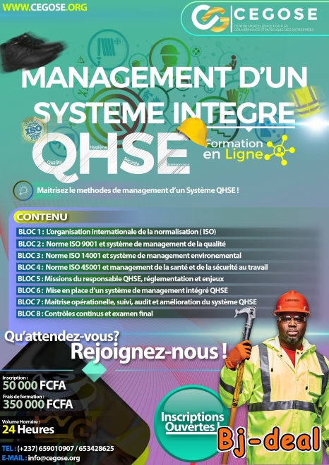 Image principale de EXPERT EN MANAGEMENT D'UN SYSTEME INTEGRE