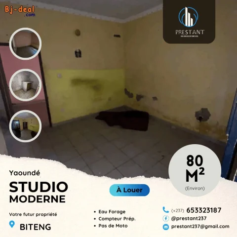 Main image — Studio Moderne Abordable à louer à Biteng