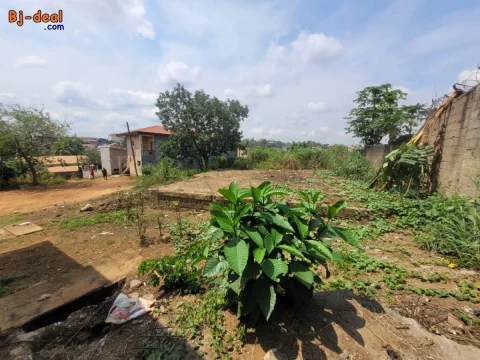 Image principale — Magnifique Opportunité dun Terrain Titré de 500m à vendre à Odza