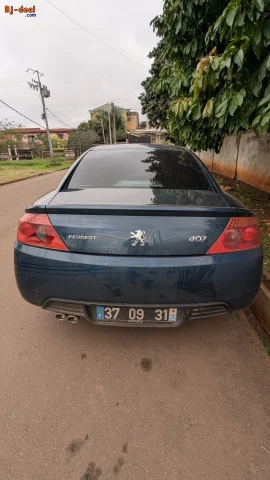 Image principale — Peugeot 407