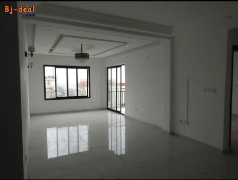 Image principale — Vaste appartement a louer a ndogbong avec groupe électrogène et ascenseur