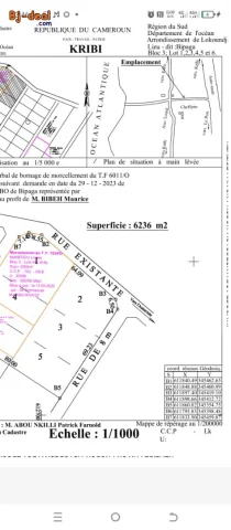 Image principale — Vente de terrain à Kribi