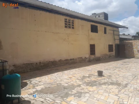 Image principale — Entrepôt a louer a akwa 250m2 bien situé en borudure de route