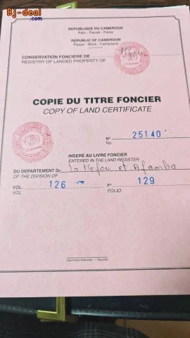 Main image — Terrain titré et loti Yaoundé lieu dit Carriere à vendre